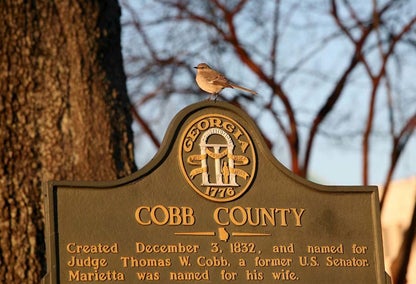 Cobb County Homes for Sale